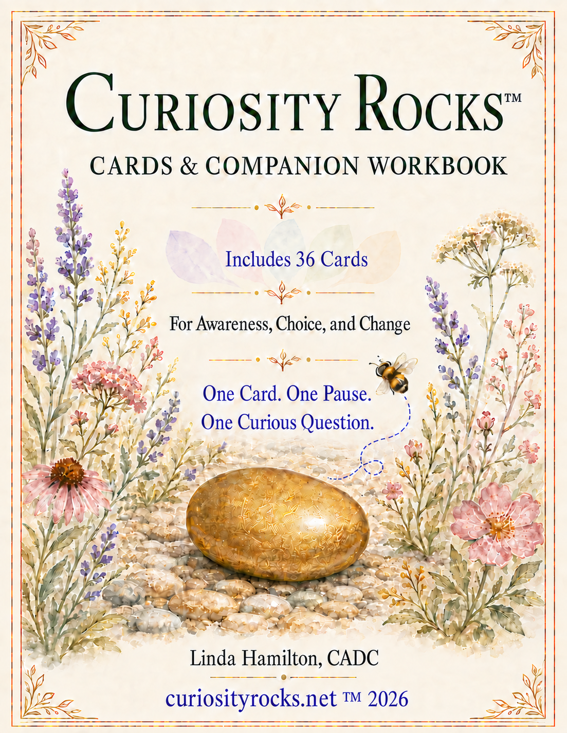 Cover of the Curiosity Rocks 36 Cards and Companion Workbook